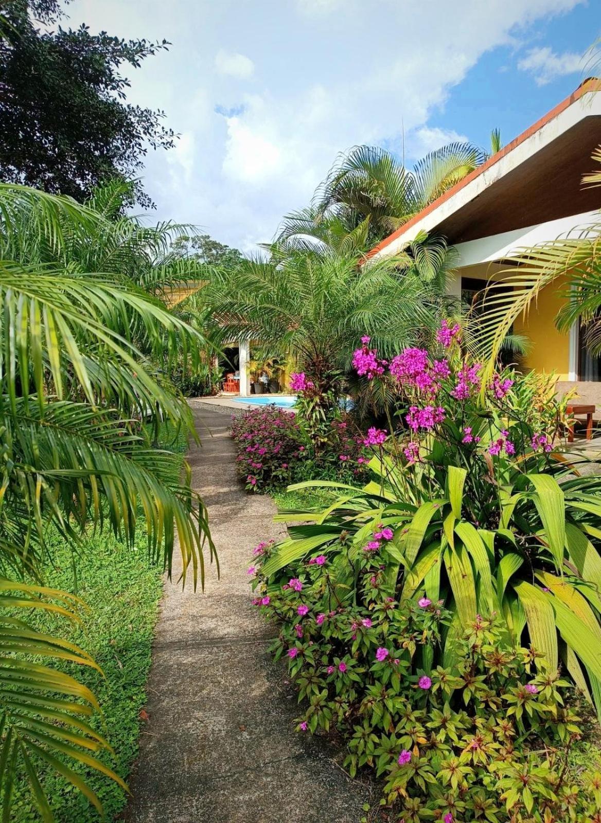 Arenal Villas Tranquilas, Free-Standing Equipped Houses Nuevo Arenal Exterior foto